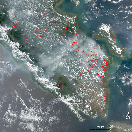 Fires on Borneo and Sumatra