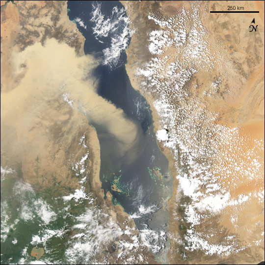 Saharan Dust over the Red Sea