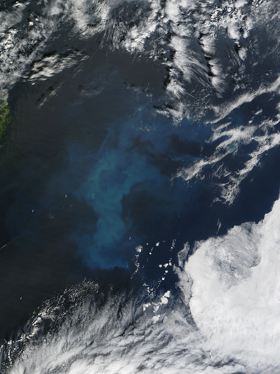 Phytoplankton bloom in the North Atlantic Ocean - related image preview