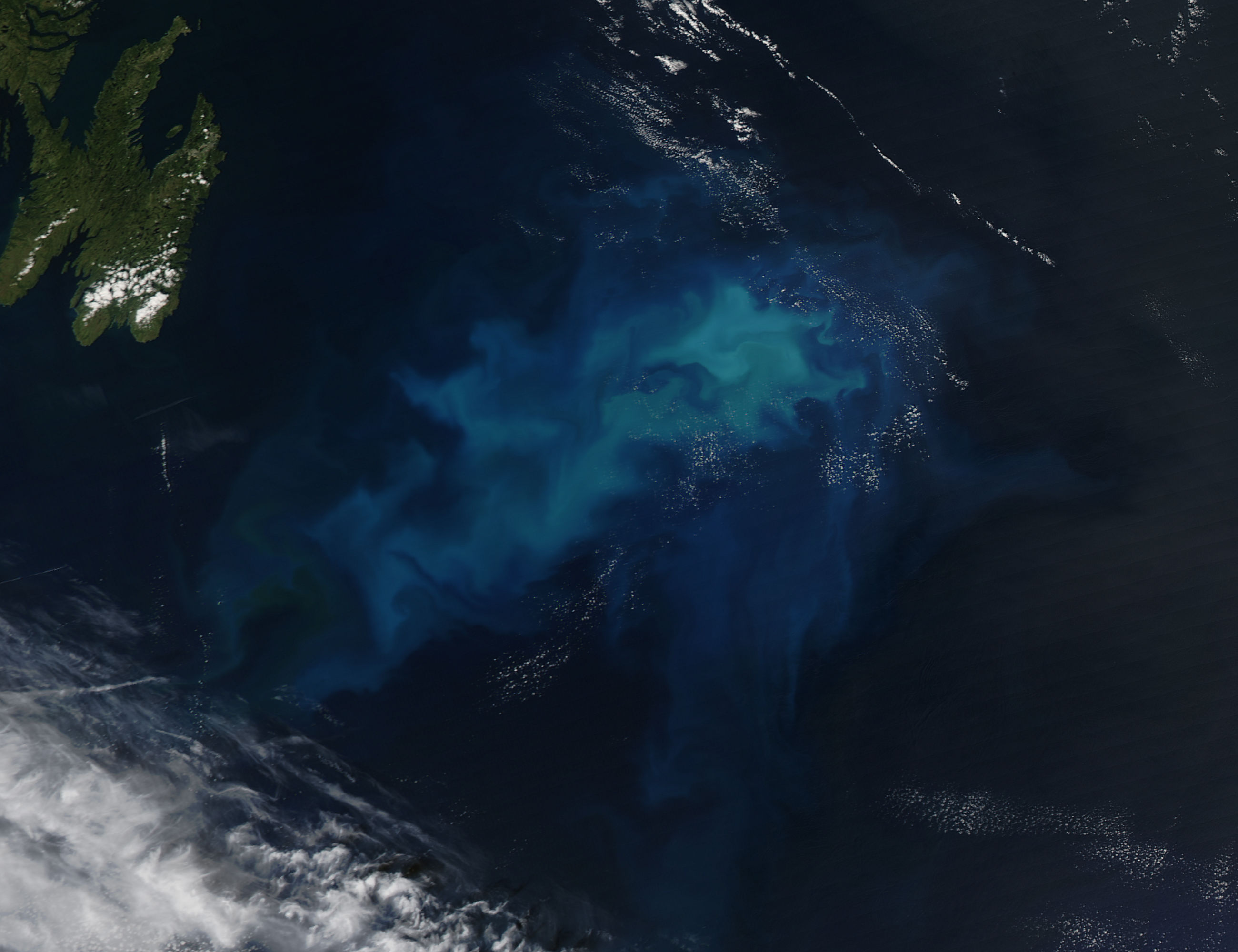 Phytoplankton bloom in the North Atlantic Ocean - related image preview