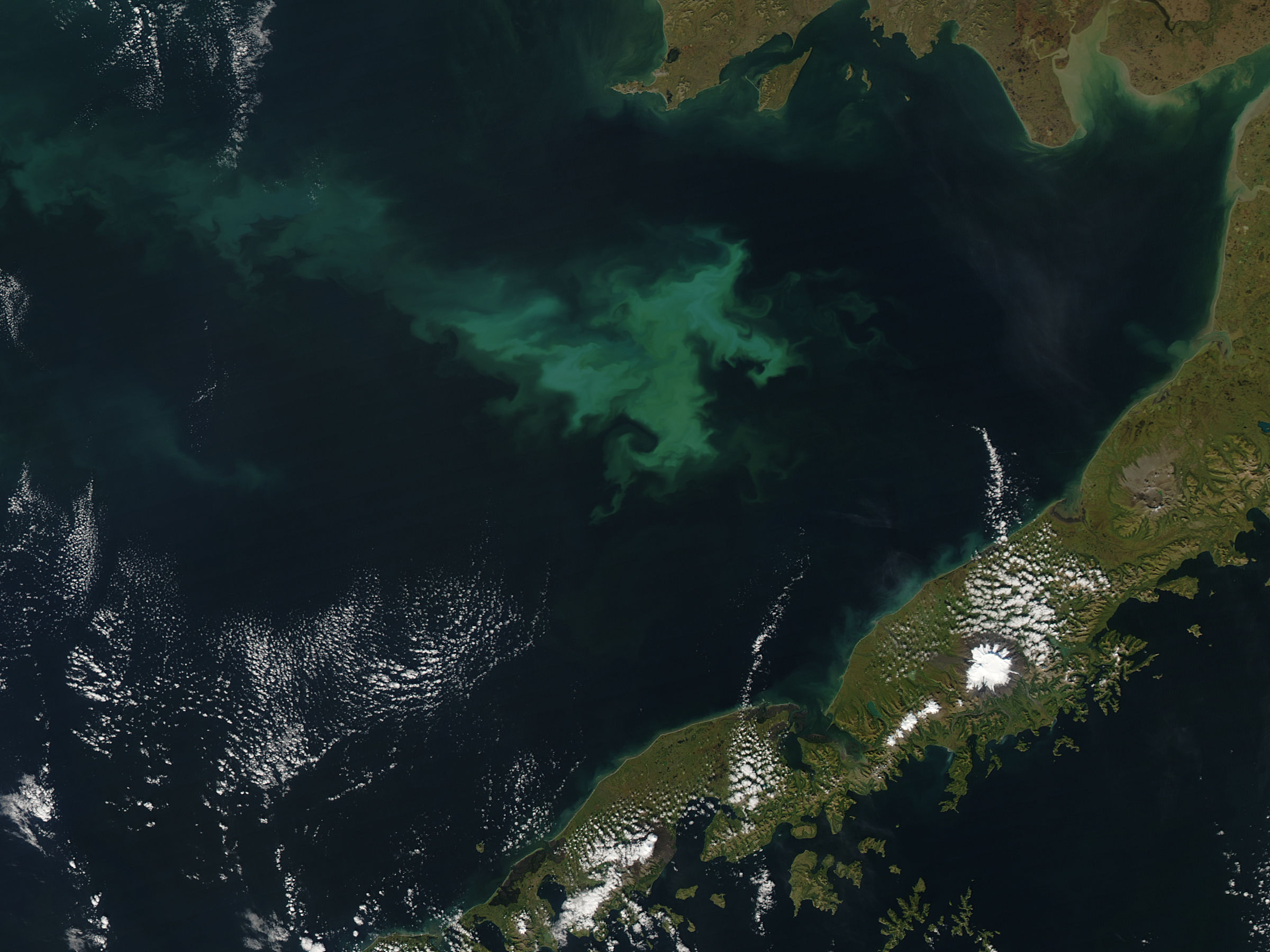 Phytoplankton bloom in Bristol Bay, Alaska - related image preview