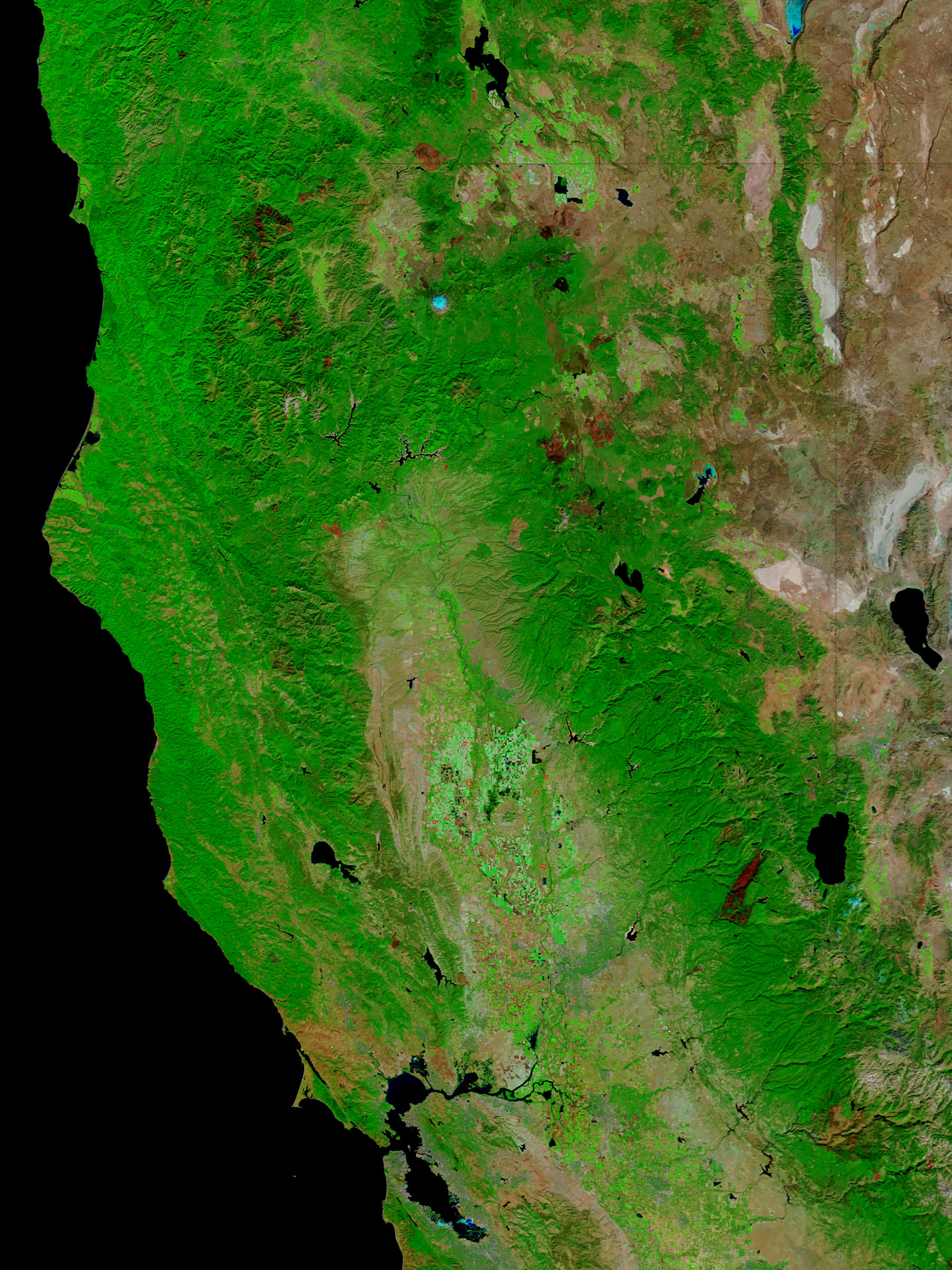 Burn scars in California (false color) - related image preview