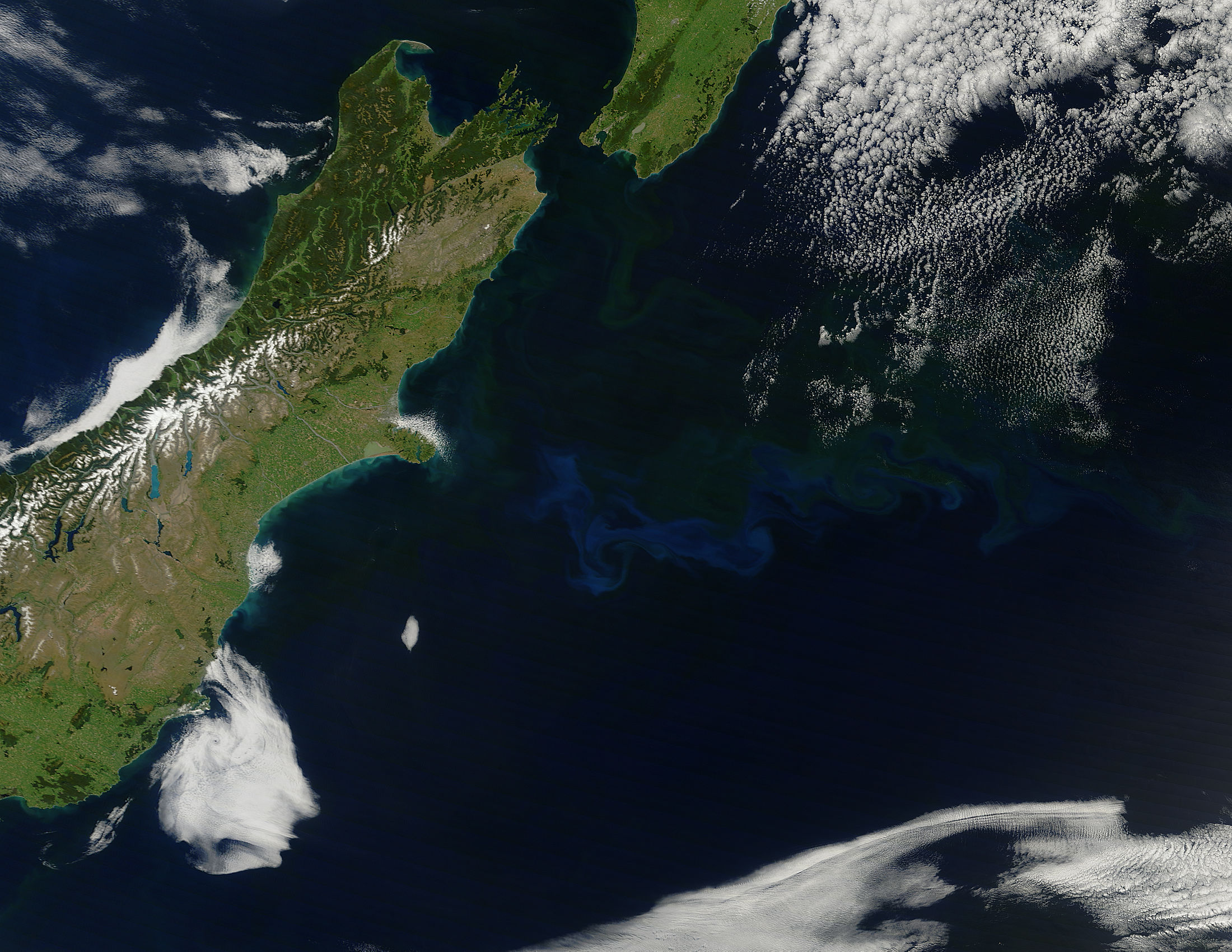 Phytoplankton bloom off New Zealand - related image preview