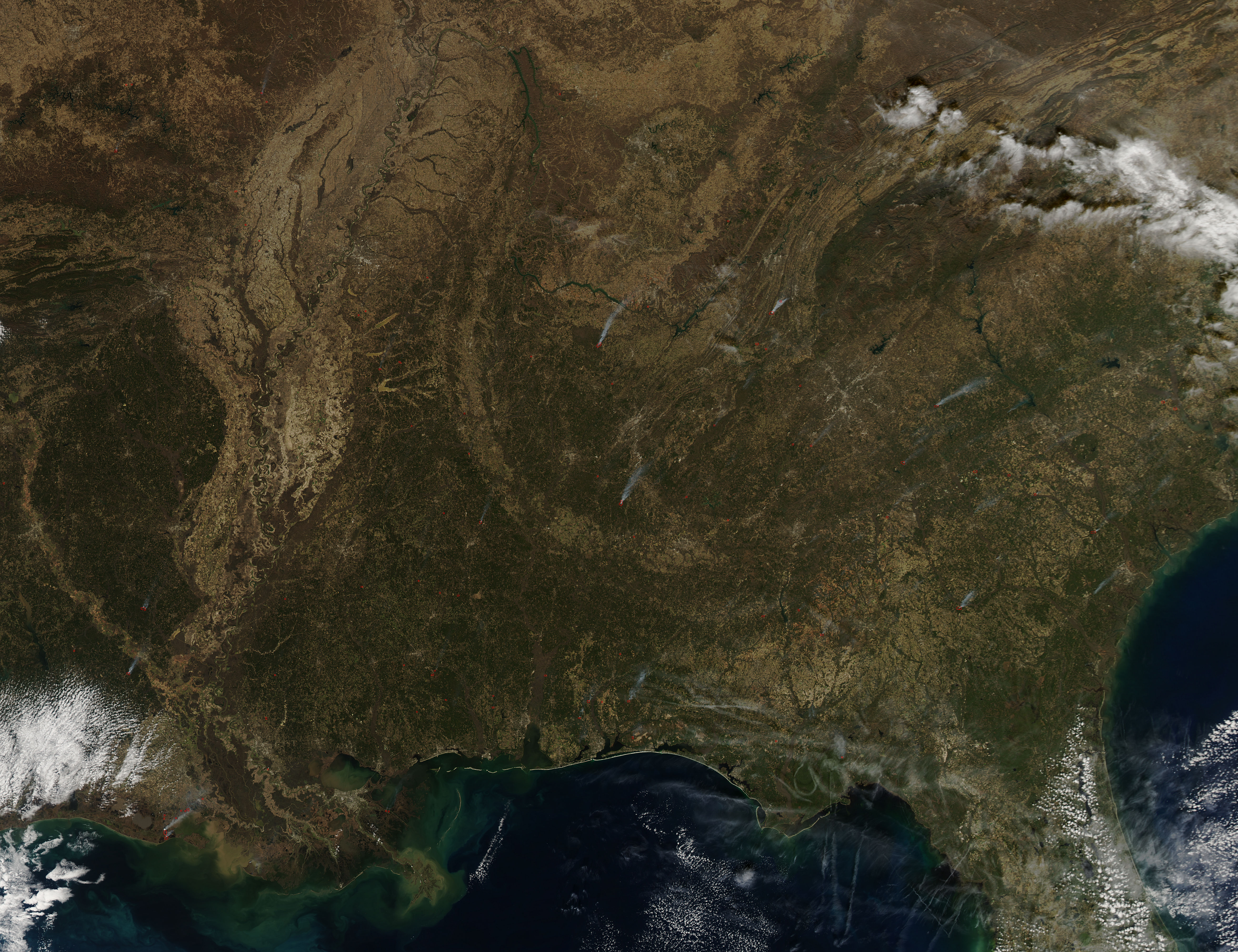 Fires in southeastern United States - related image preview