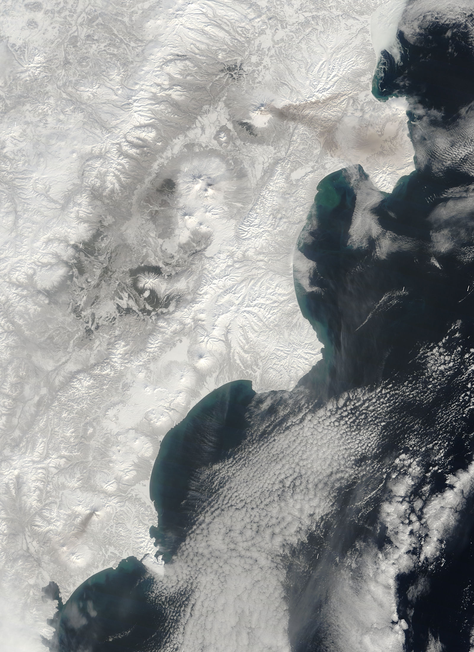 Ash on snow from Shiveluch and Zhupanovsky, Kamchatka Peninsula - related image preview