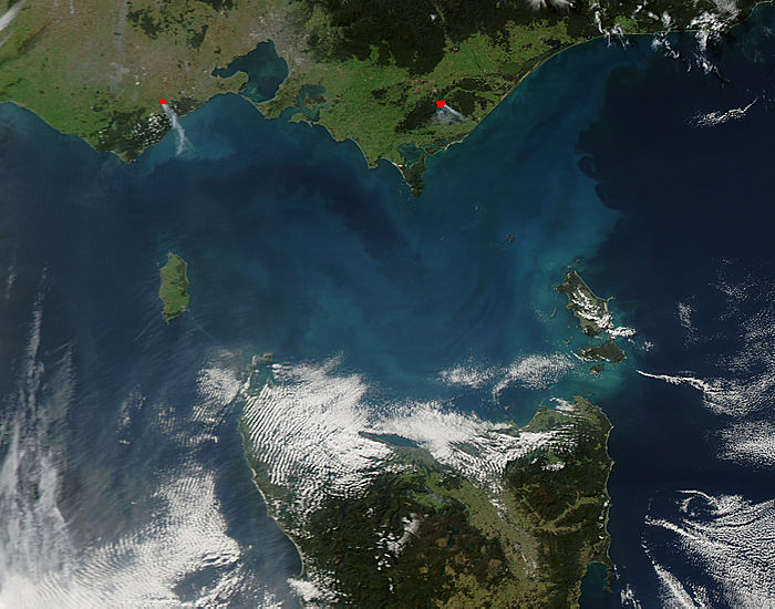 Phytoplankton bloom in Bass Strait, Australia - related image preview