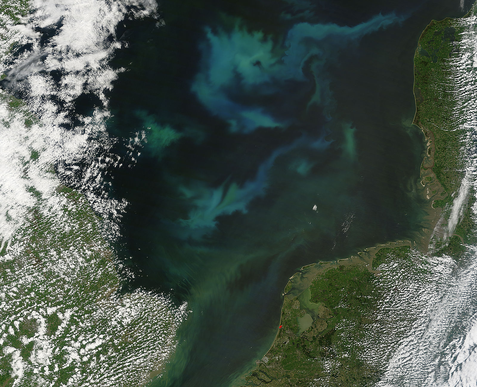 Phytoplankton bloom in the North Sea - related image preview