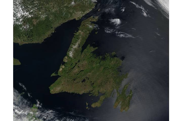 Newfoundland - selected image