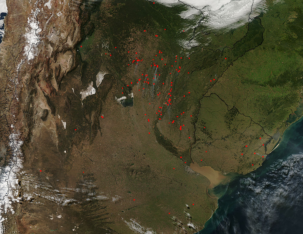 Fires in Uruguay and northern Argentina - related image preview