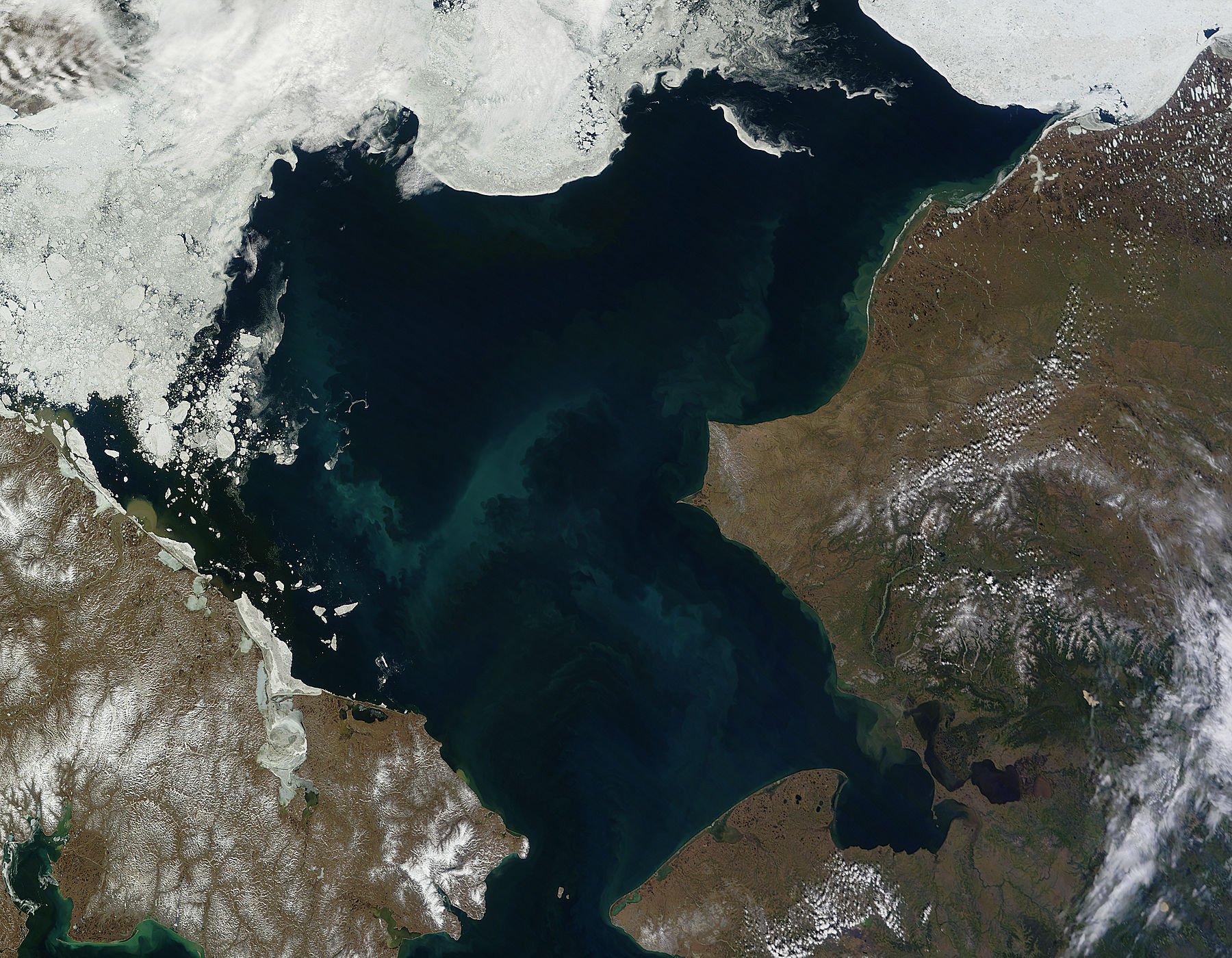 Phytoplankton bloom in the Chukchi Sea - related image preview