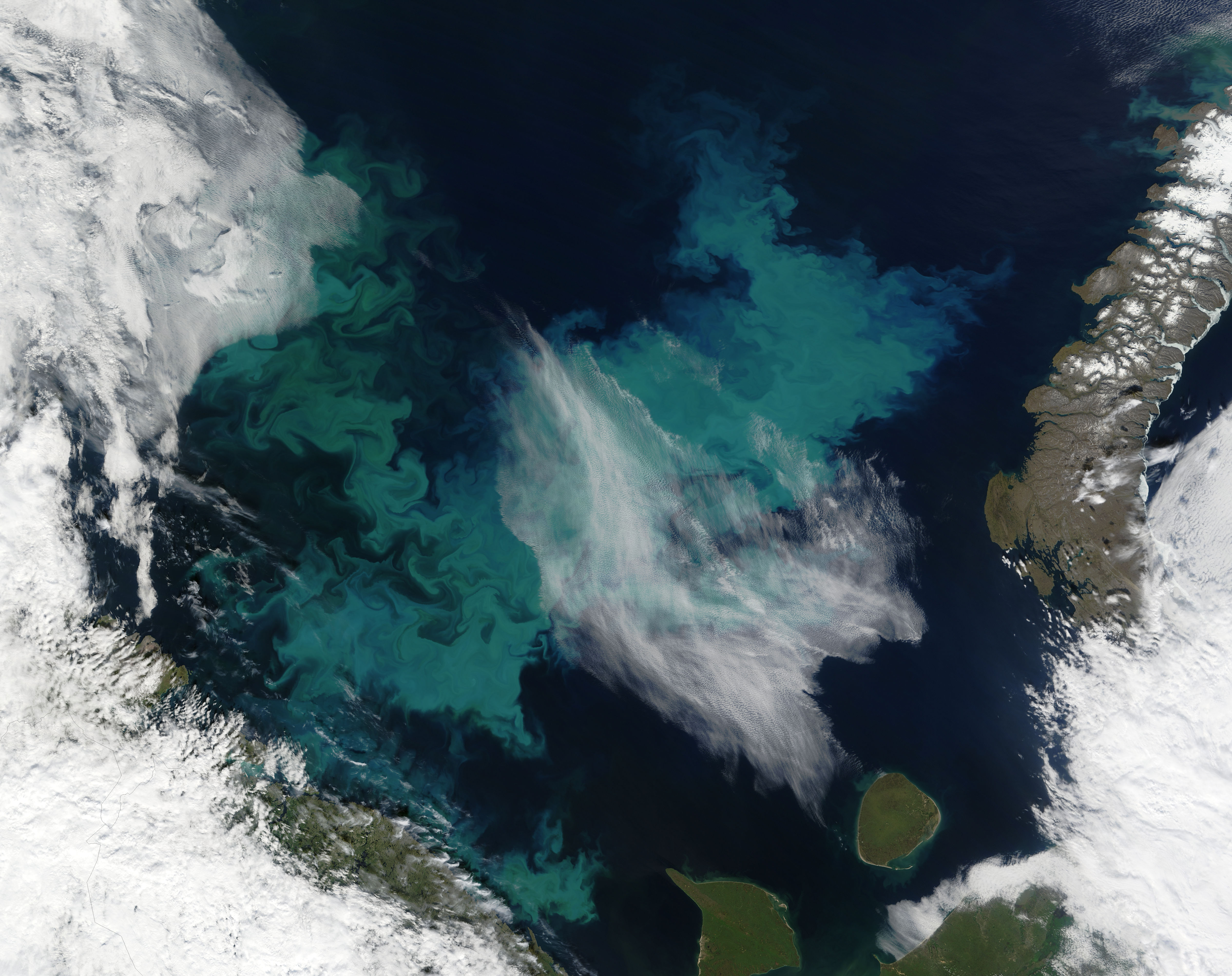 Phytoplankton bloom in the Barents Sea - related image preview