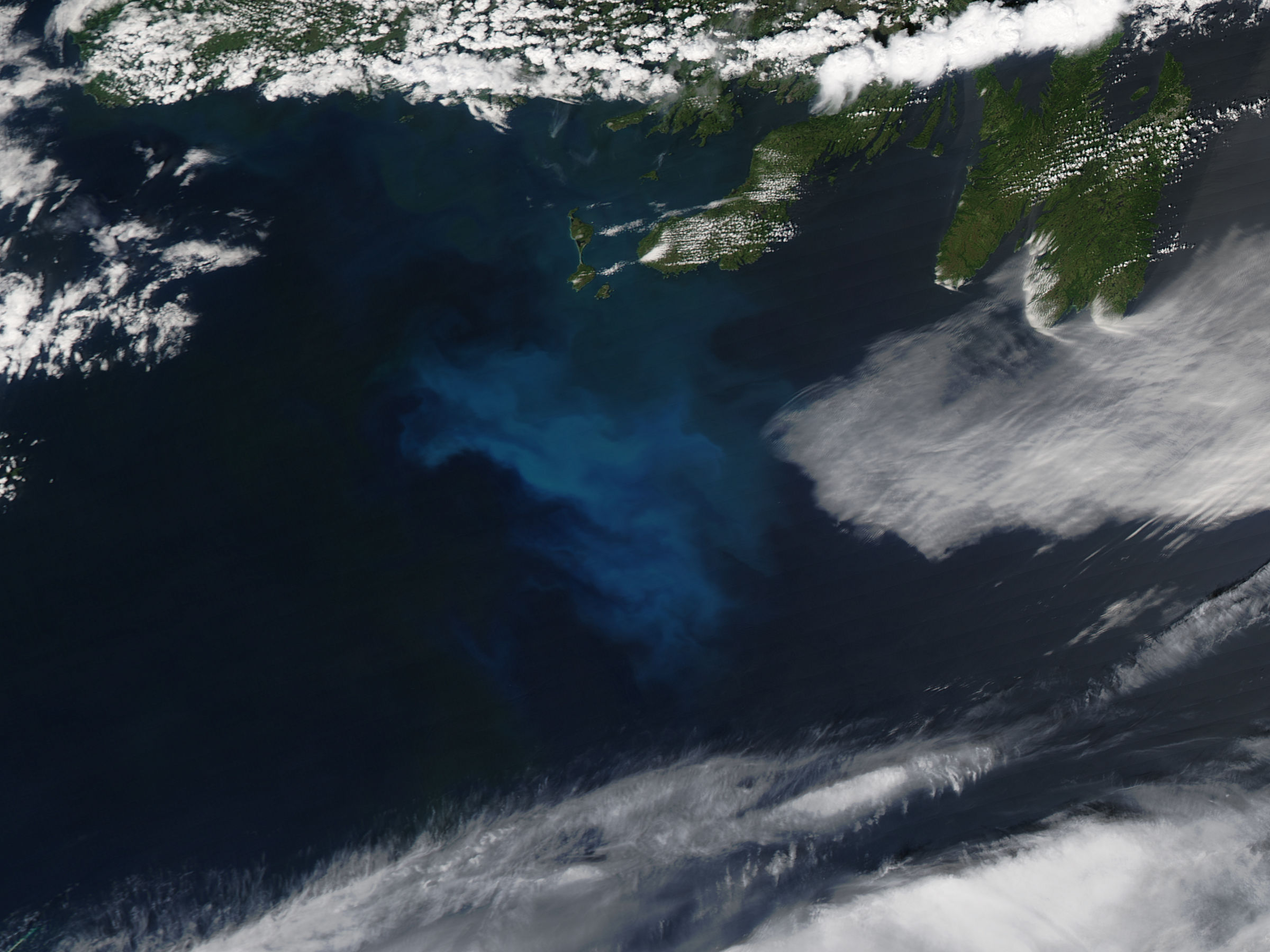 Phytoplankton bloom off Newfoundland Island - related image preview