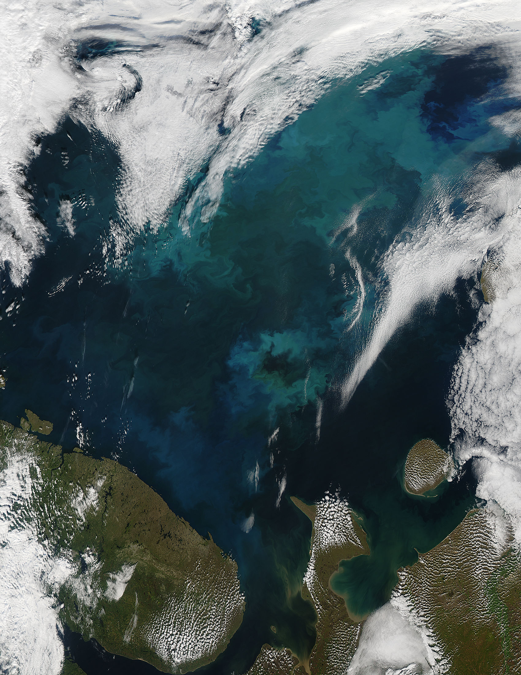 Phytoplankton bloom in the Barents Sea - related image preview