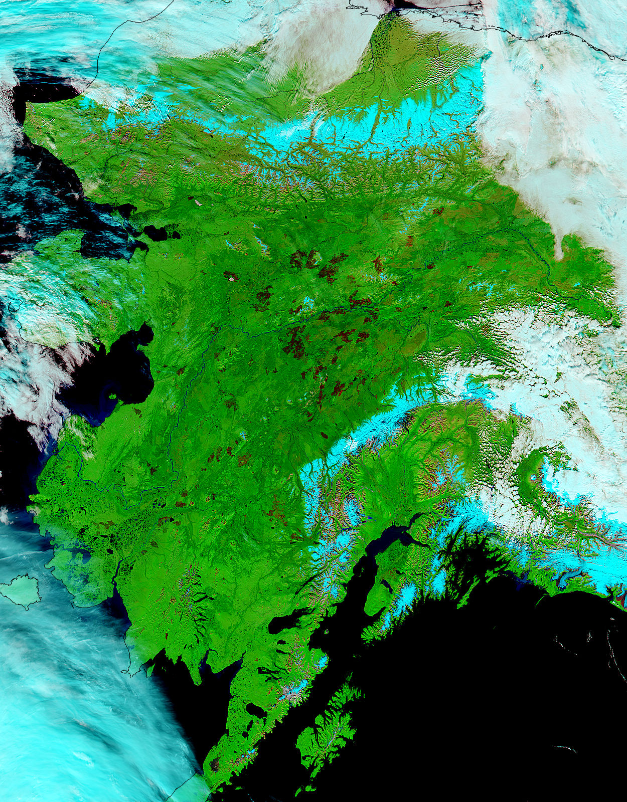 Burn scars in central Alaska (false color) - related image preview