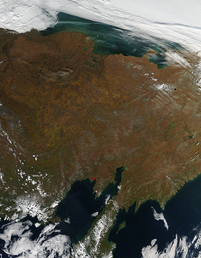 Fall colors in eastern Siberia - related image preview