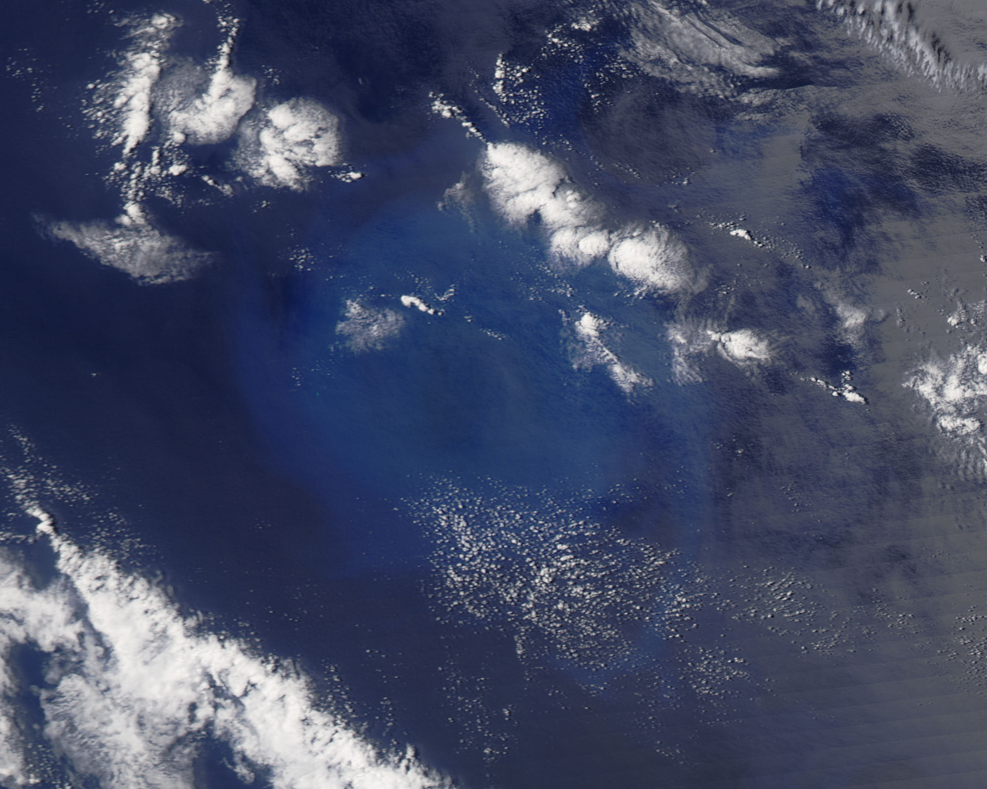 Phytoplankton bloom in the South Atlantic Ocean - related image preview