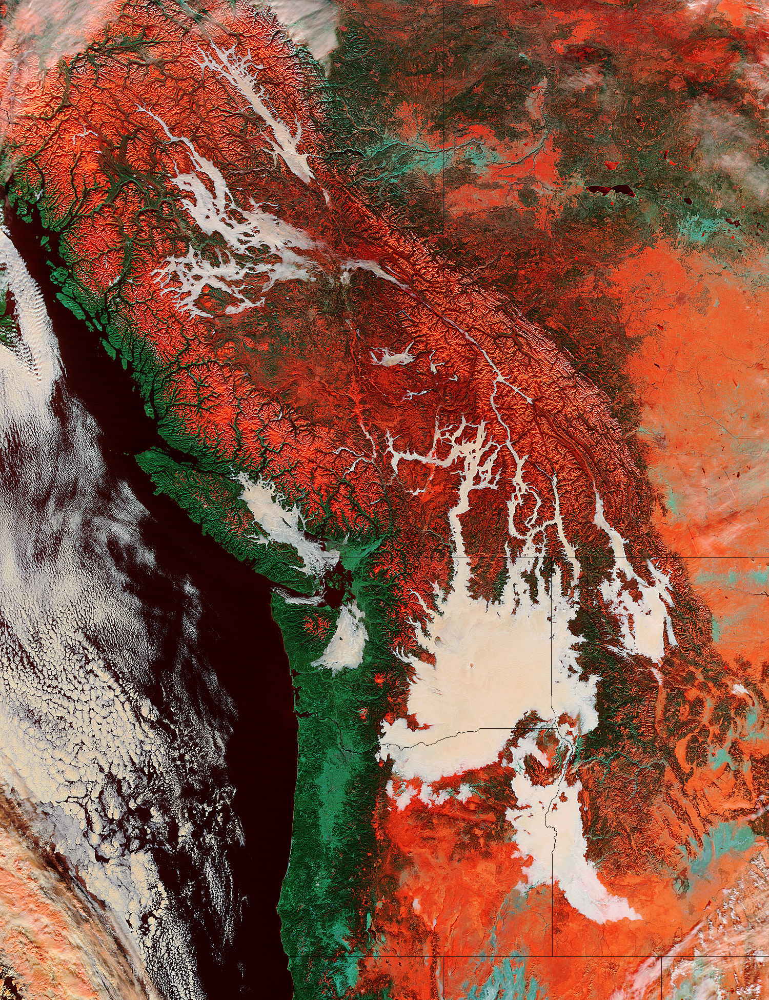 Low clouds and snow in the Pacific Northwest (false color) - related image preview
