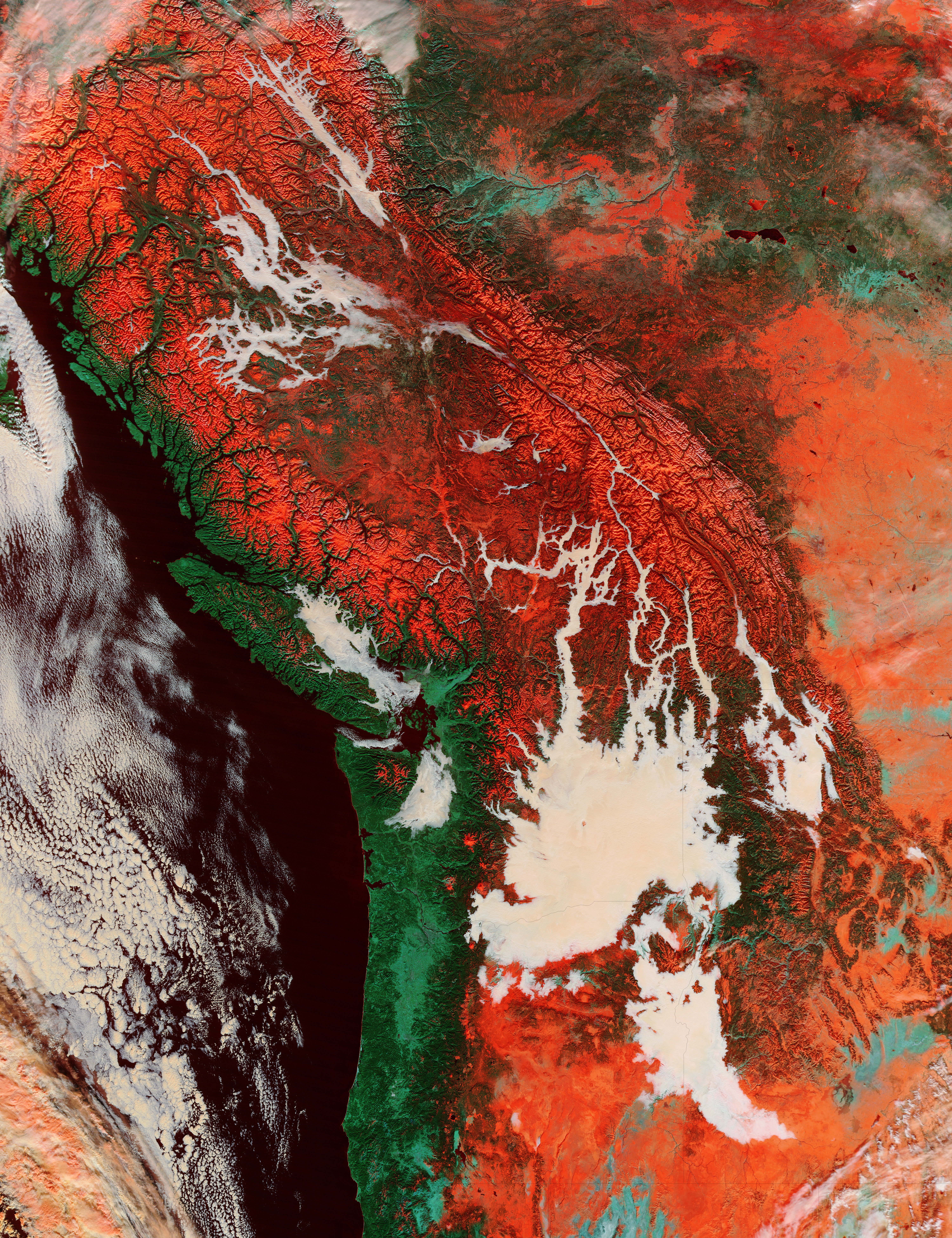 Low clouds and snow in the Pacific Northwest (false color) - related image preview