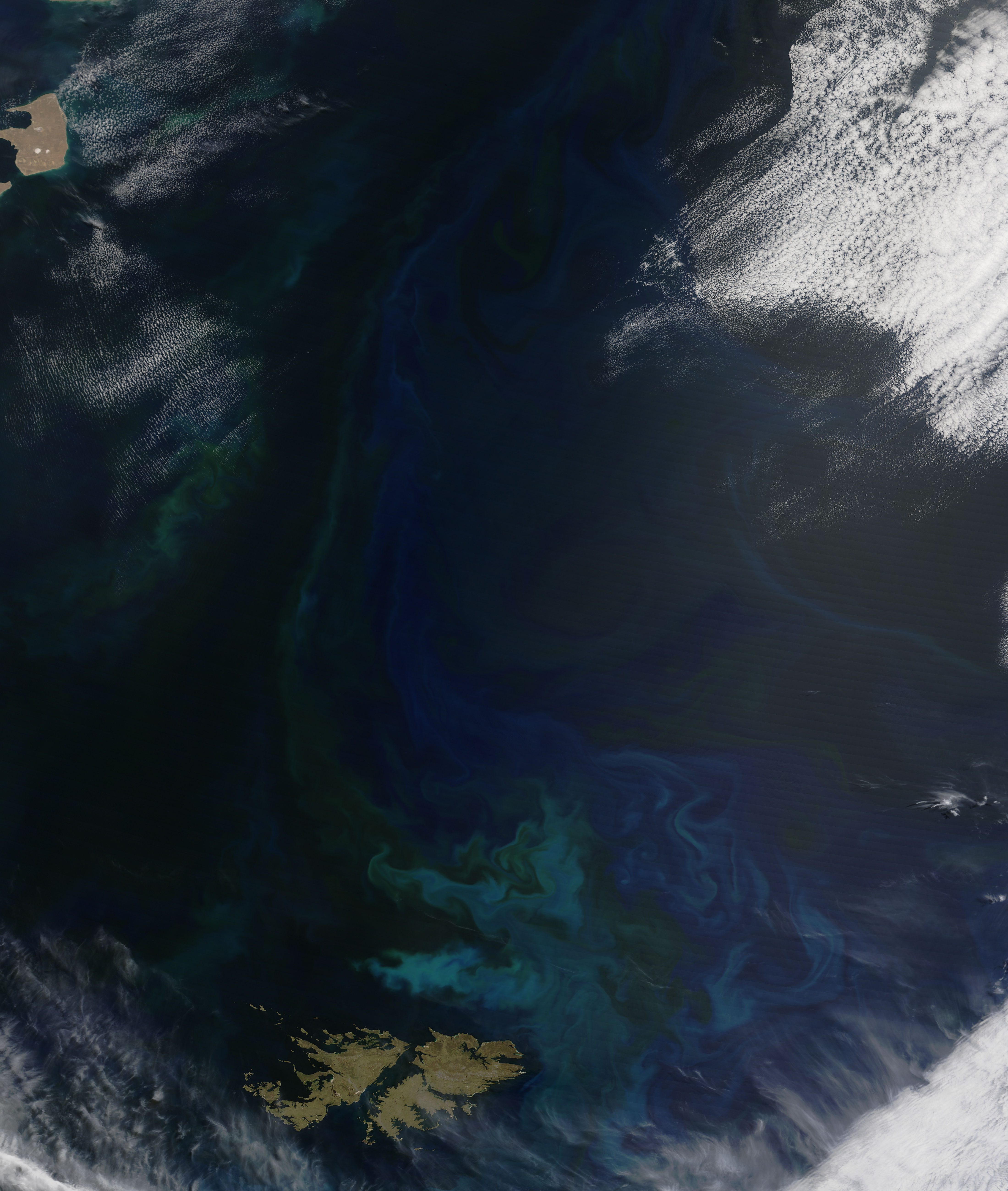 Phytoplankton blooms off the Falkland Islands - related image preview