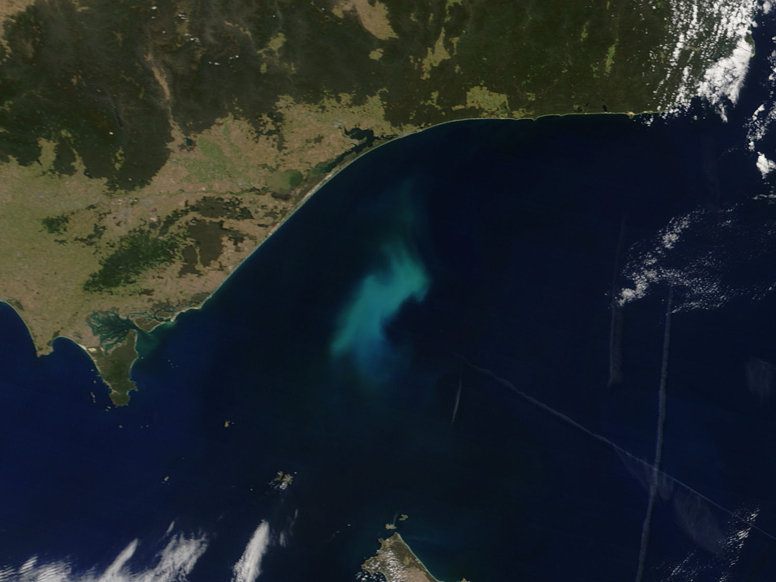 Phytoplankton bloom off southeastern Australia - related image preview