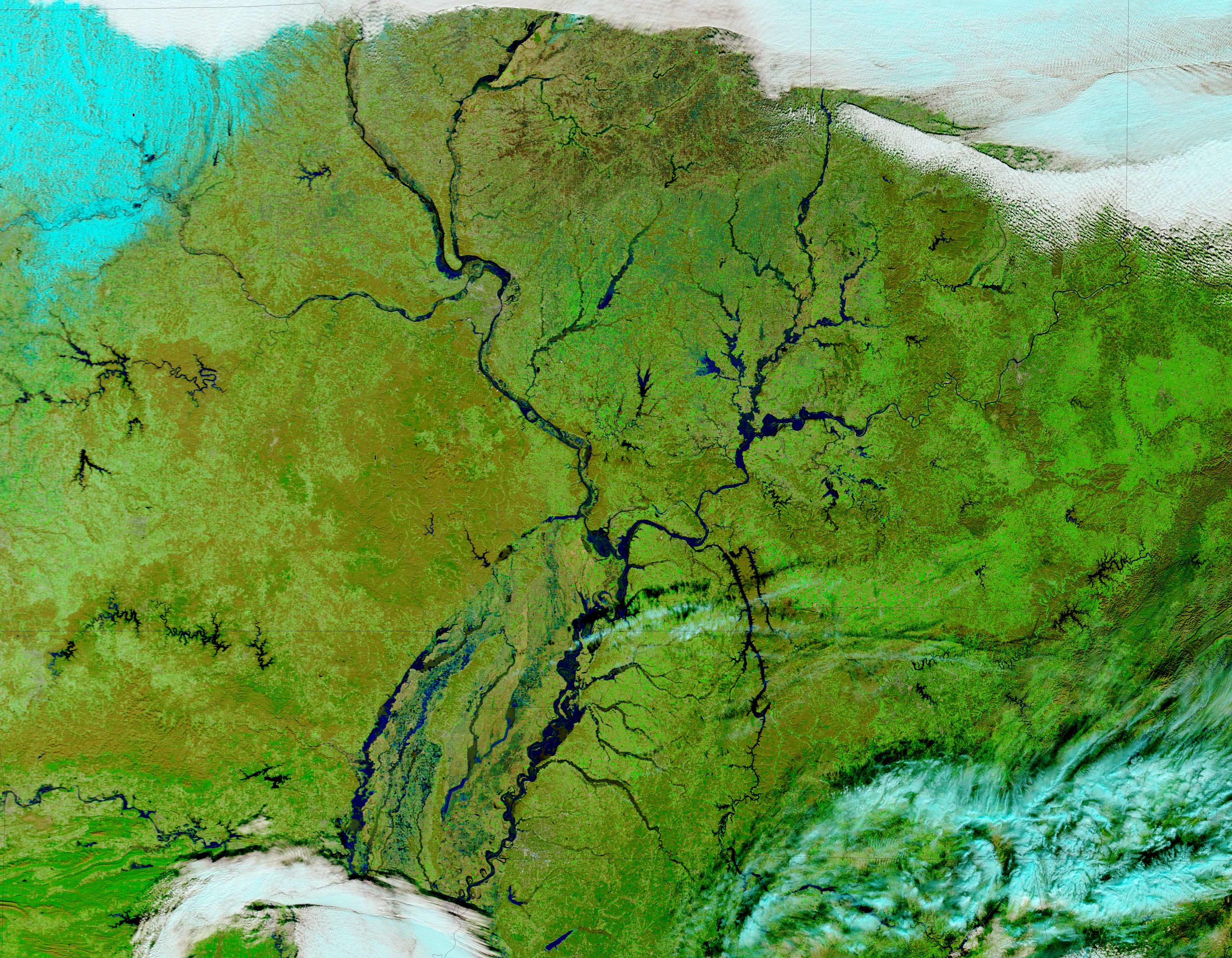 Flooding along the Mississippi Valley (false color) - related image preview