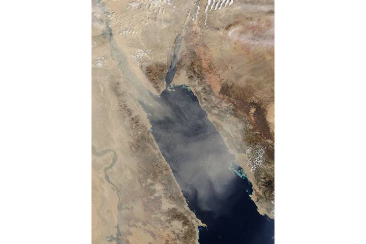 Dust Storm Over The Red Sea