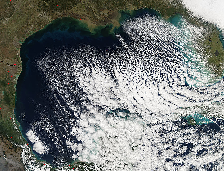 Sediment and cloud streets in the Gulf of Mexico - related image preview