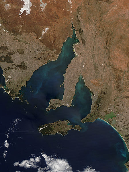 Phytoplankton blooms off South Australia - related image preview