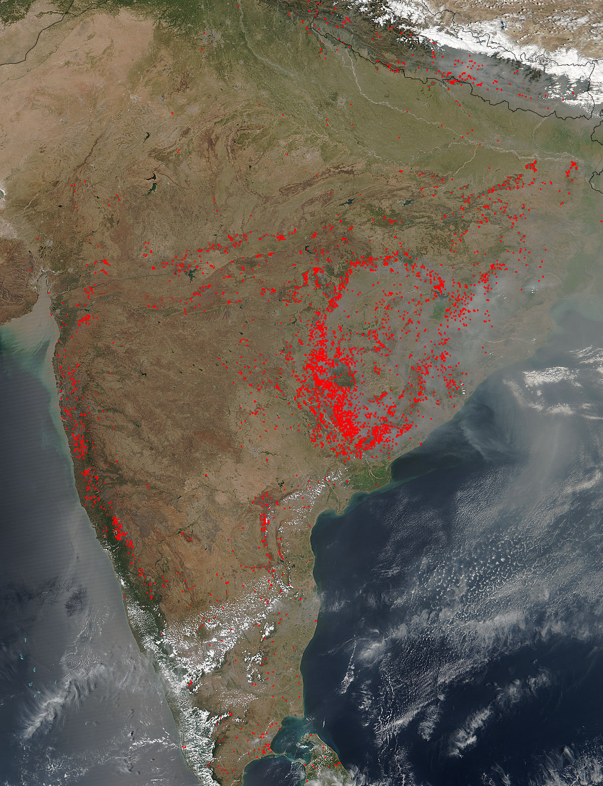 Fires in India - related image preview