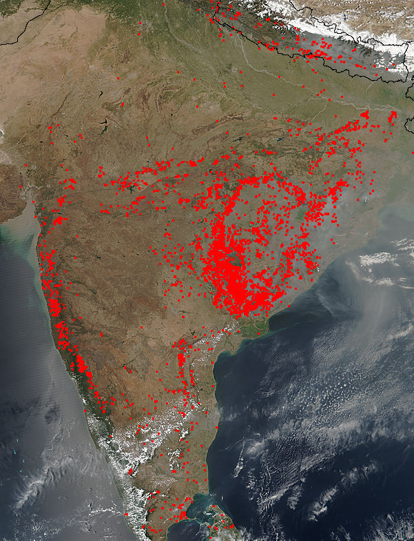 Fires in India - related image preview