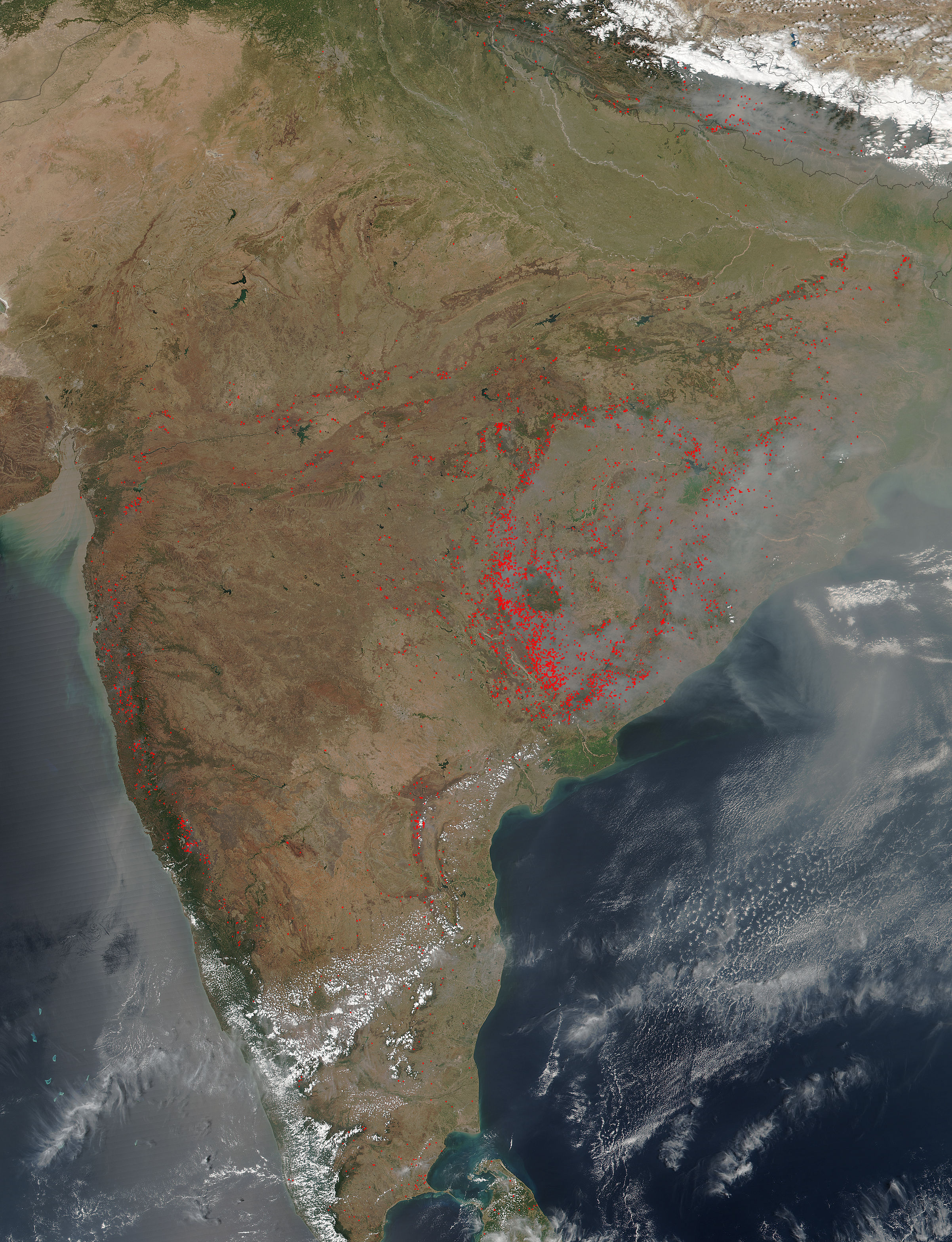 Fires in India - related image preview