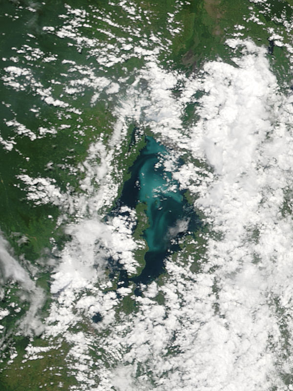 Phytoplankton bloom in Lake Kiva, central Africa