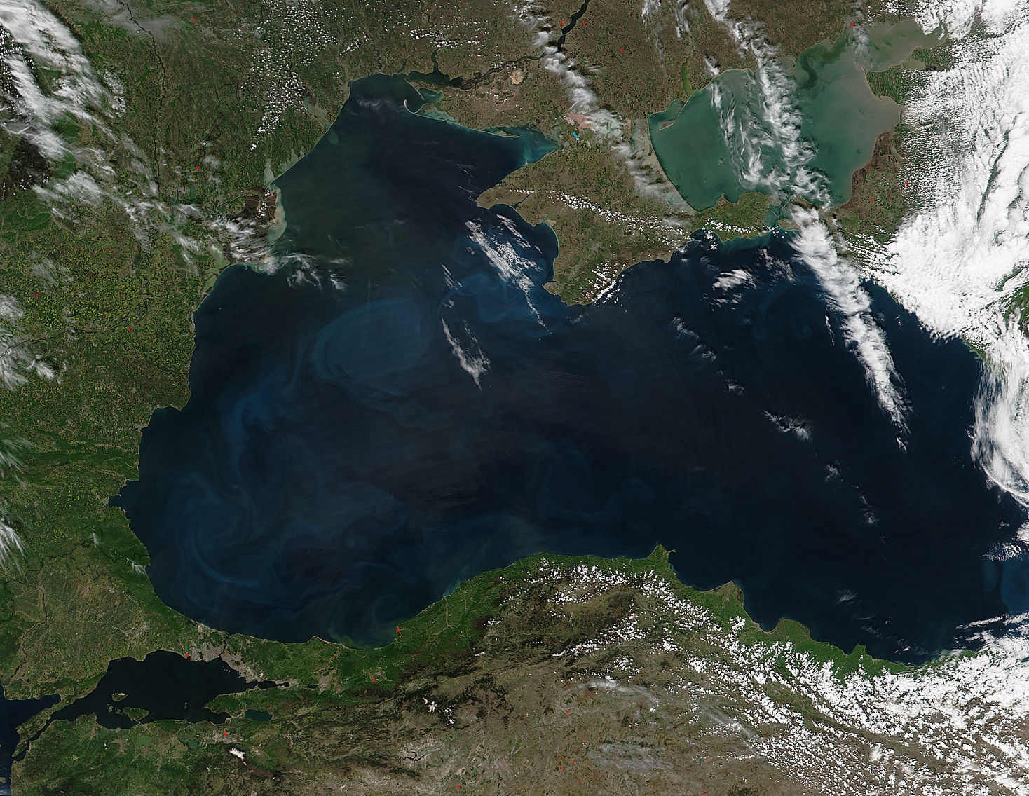 Phytoplankton bloom in the Black Sea - related image preview