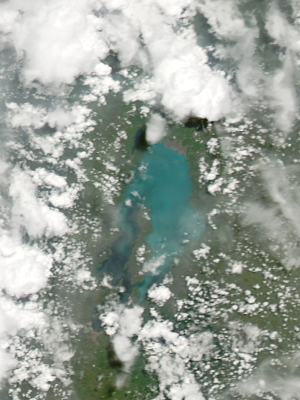Phytoplankton bloom in Lake Kiva, central Africa - related image preview