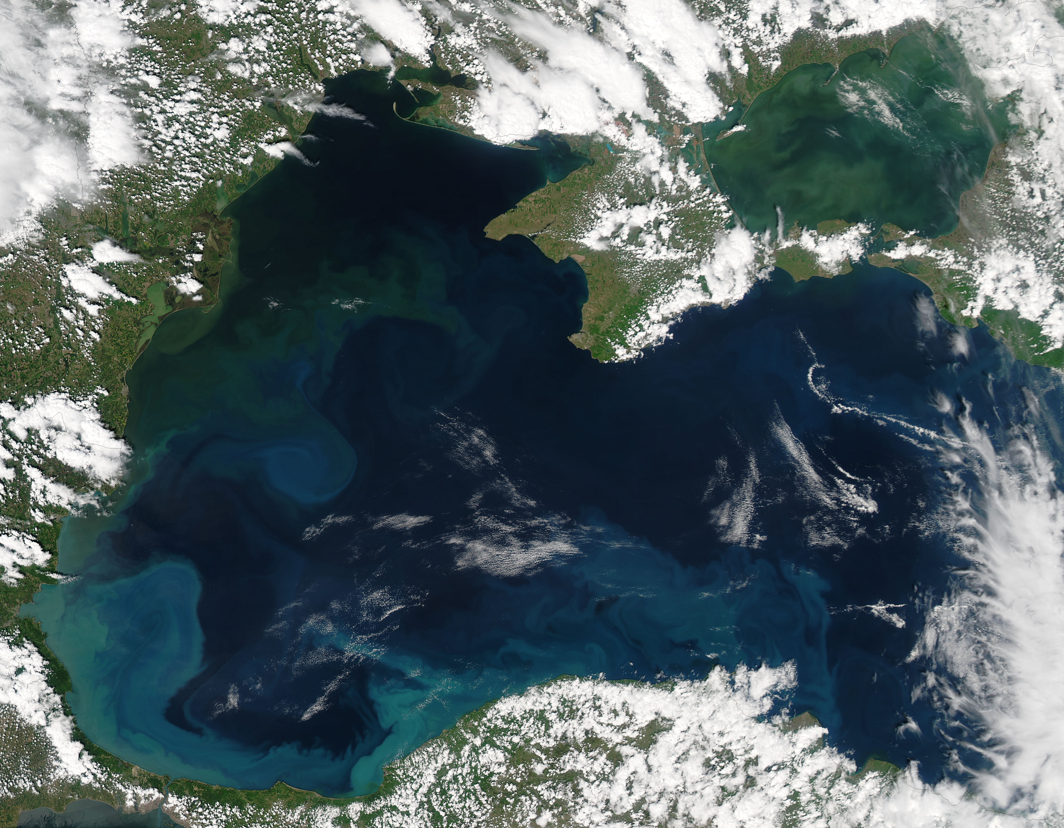 Phytoplankton bloom in the Black Sea - related image preview