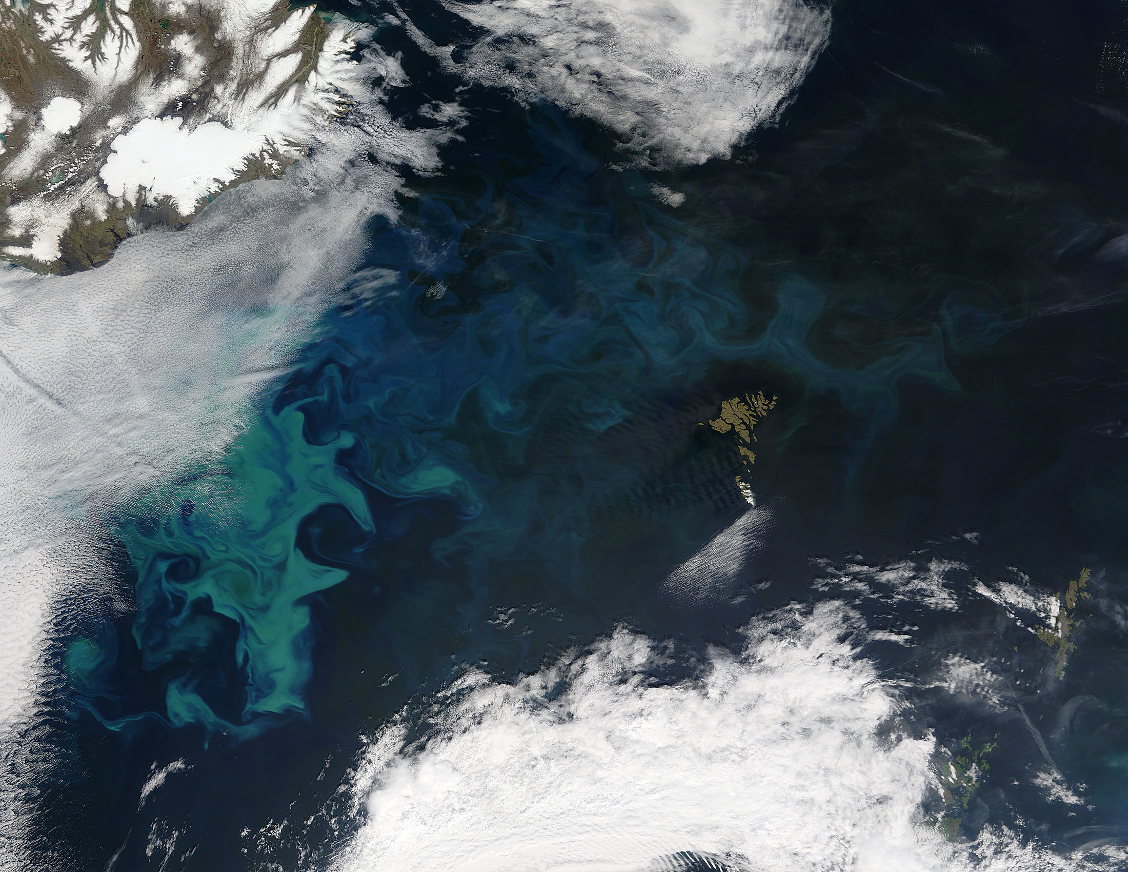 Phytoplankton bloom in the North Atlantic Ocean - related image preview