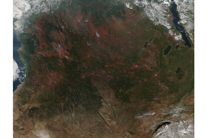 Fires in Central Africa - selected image