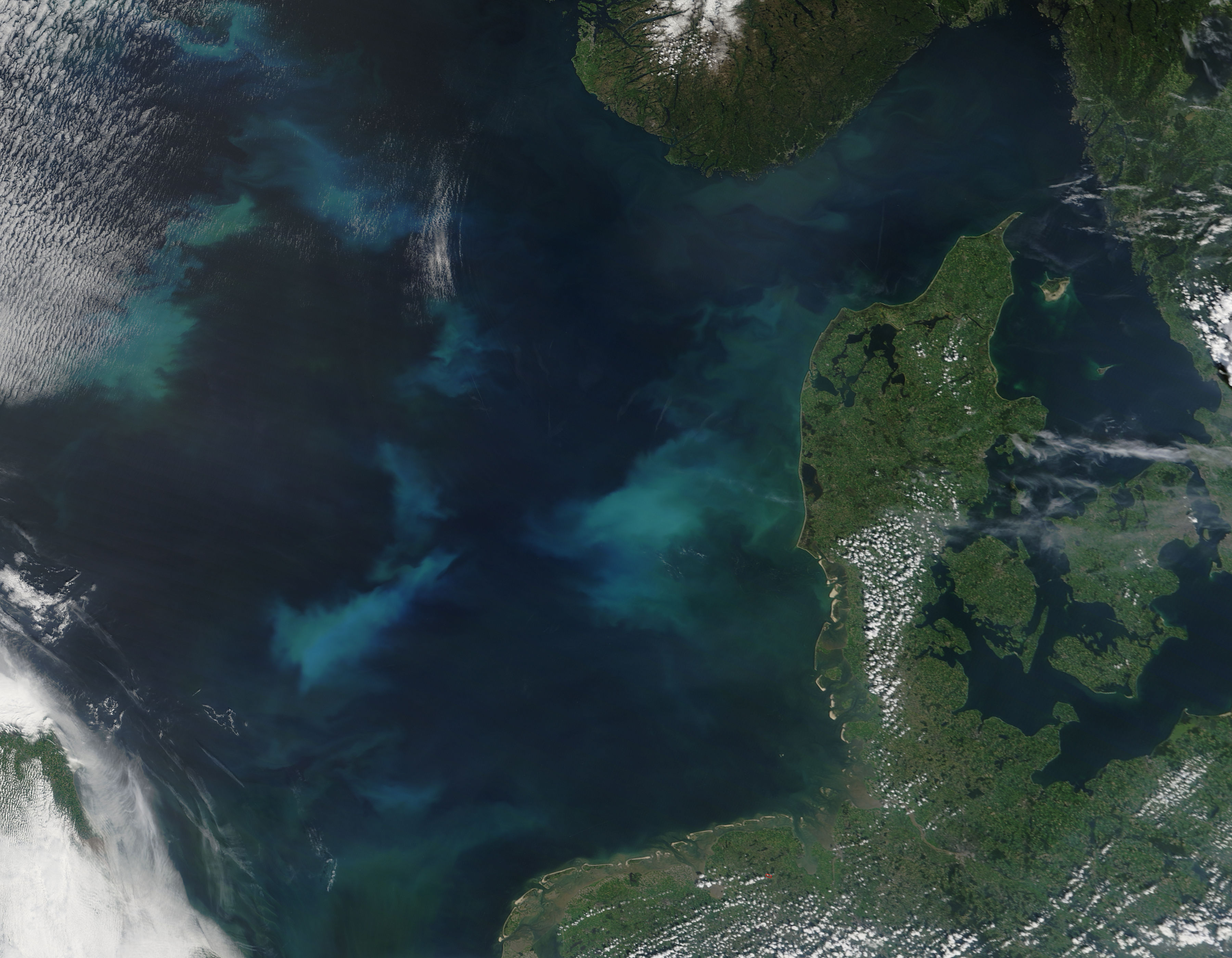 Phytoplankton blooms in the North Sea - related image preview