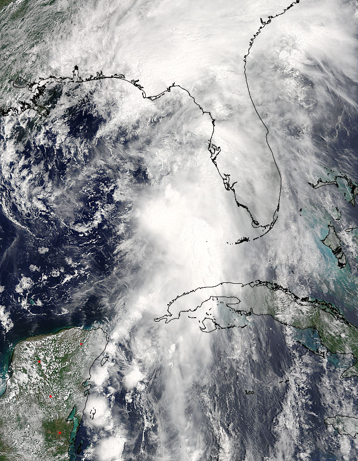 Tropical Storm Colin (03L) over the Gulf of Mexico - related image preview