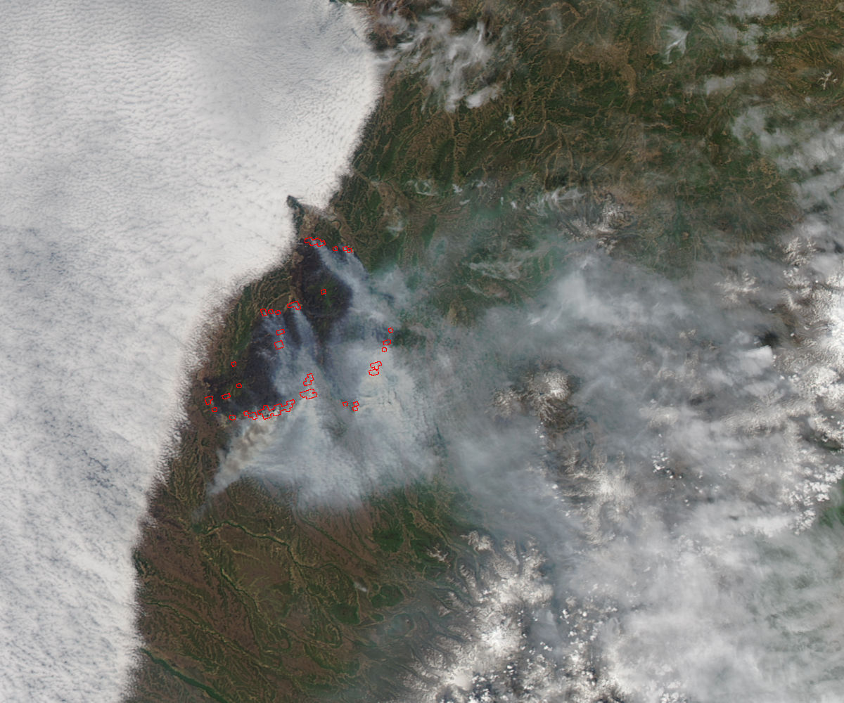 Wildfire in southwest Kamchatka - related image preview
