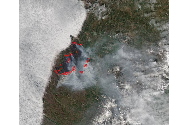 Wildfire in southwest Kamchatka - selected child image