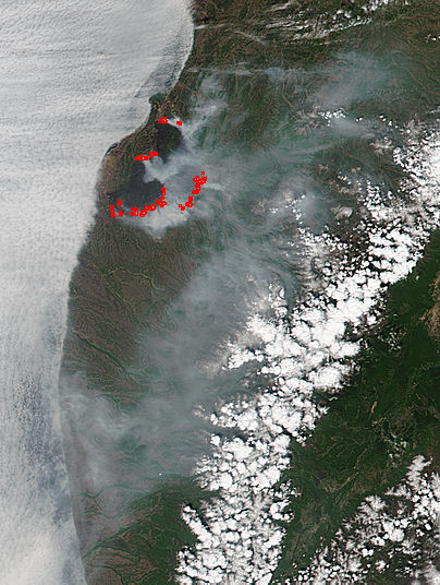 Wildfire in southwest Kamchatka - related image preview