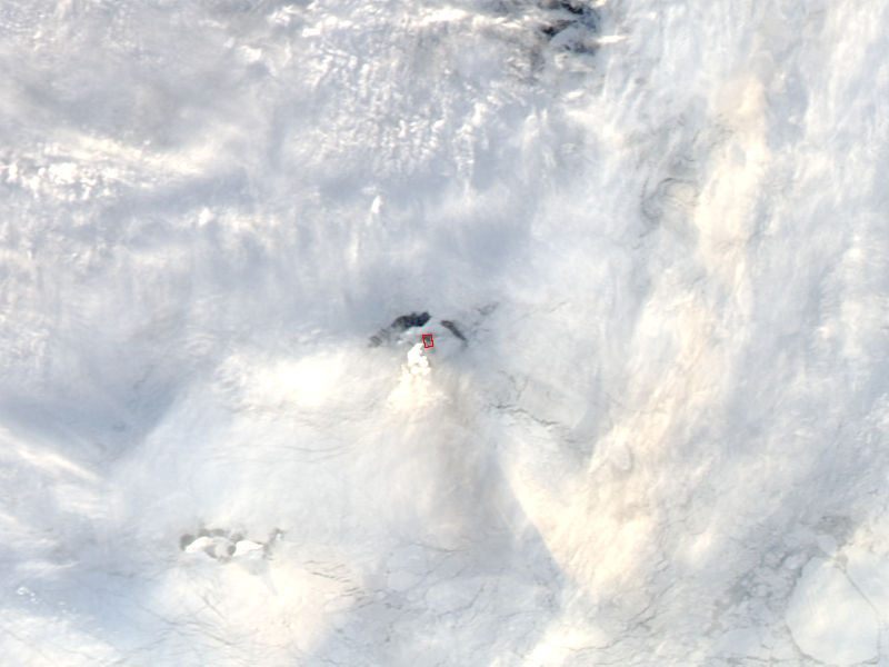 Activity at Bristol Island volcano, South Sandwich Islands - related image preview