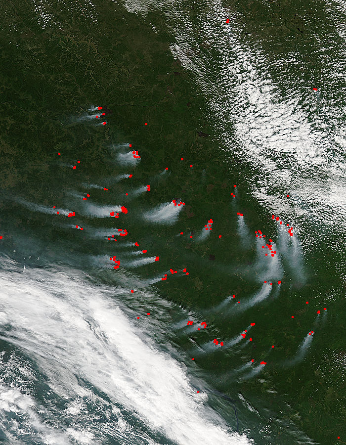 Fires in central Russia - related image preview