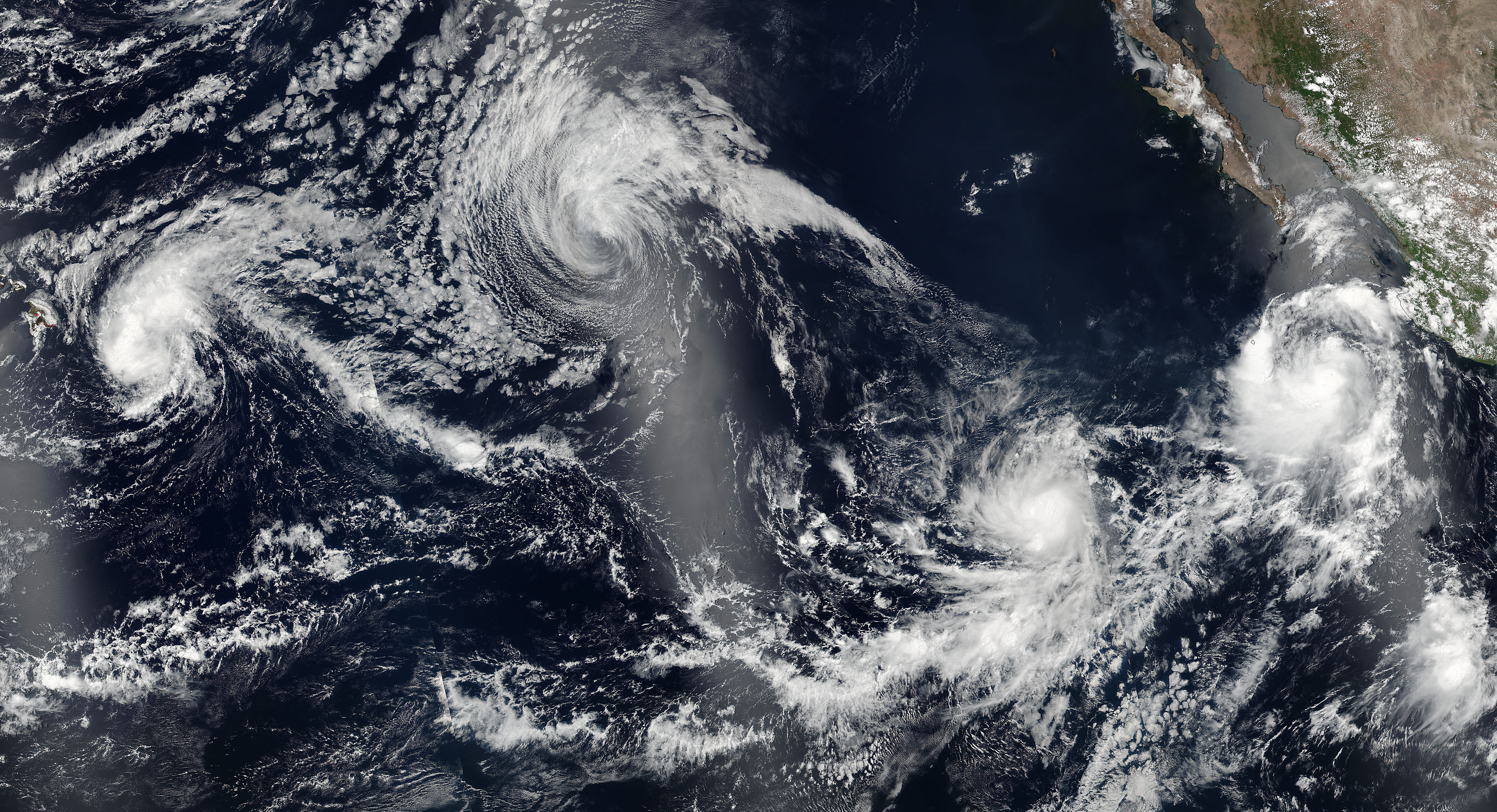 Tropical Storms Darby (05E), Estelle (06E), Frank (07E) and Georgette (08E) in the eastern Pacific O - related image preview