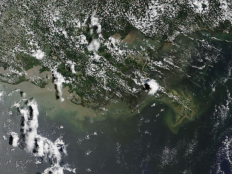 Sediment off Louisiana - related image preview