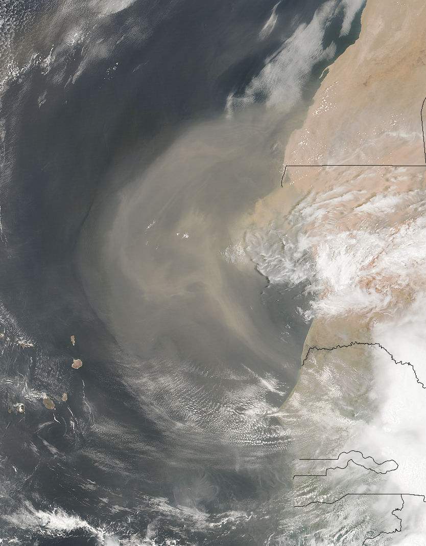 Dust storm off West Africa