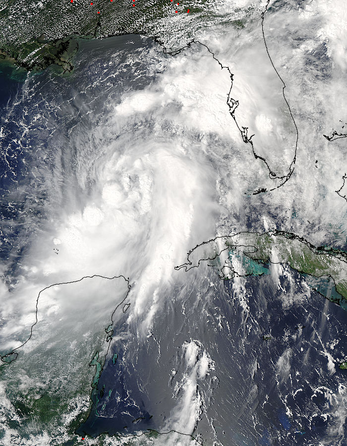 Tropical Storm Hermine (09L) in the Gulf of Mexico - related image preview