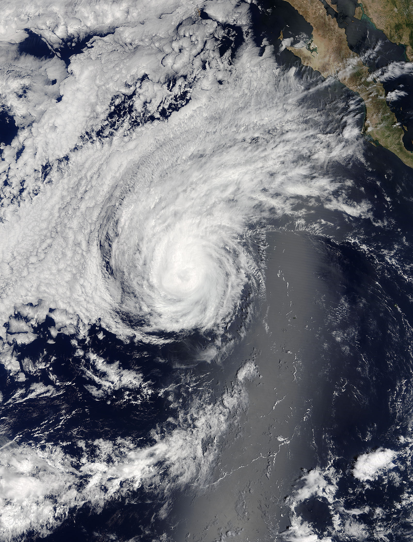 Hurricane Orlene (16E) in the eastern Pacific - related image preview
