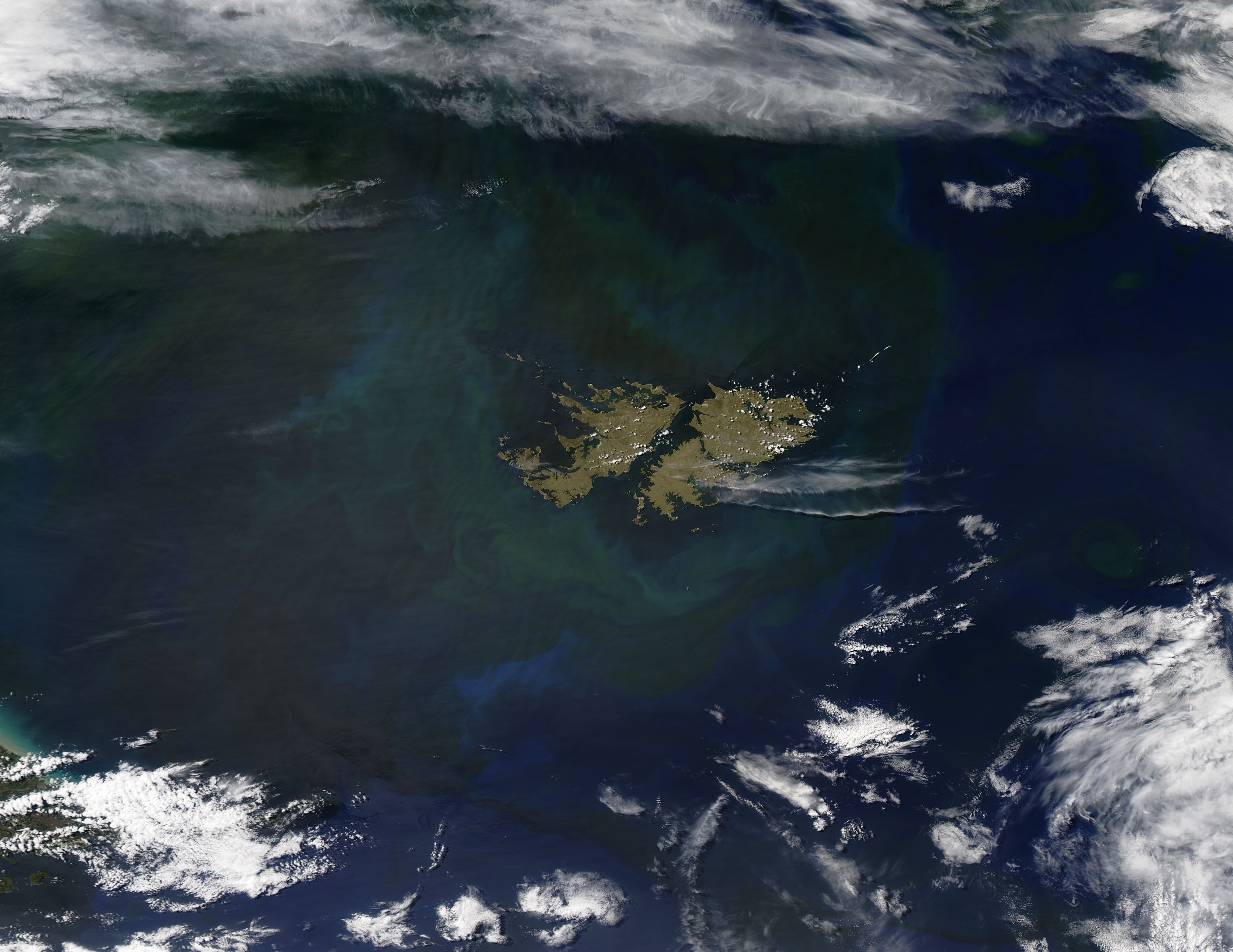 Phytoplankton bloom off the Falkland Islands - related image preview